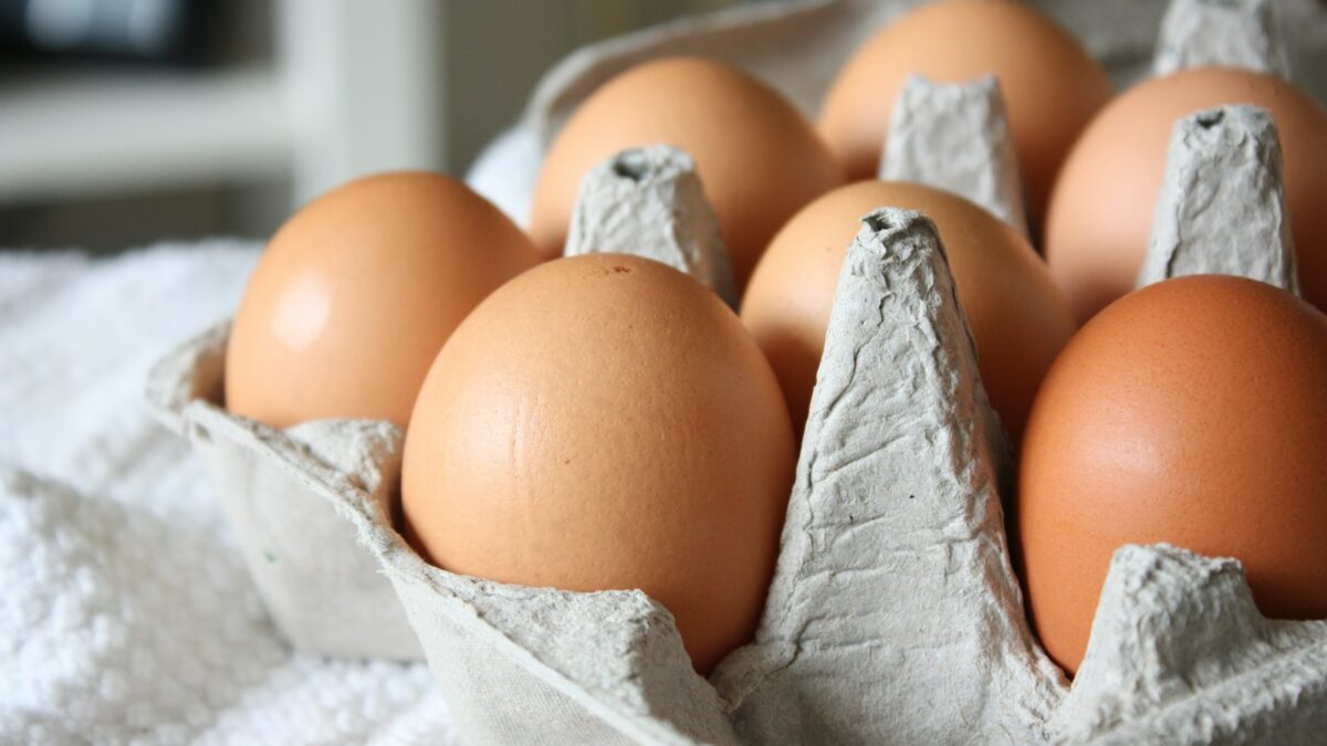 brown egg on white paper towel