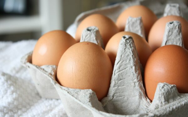 brown egg on white paper towel