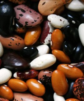 beans, legumes, food, protein, vegetable, legume, brown bean, uncooked, dried beans, beans, beans, beans, beans, beans, legumes, legumes, protein