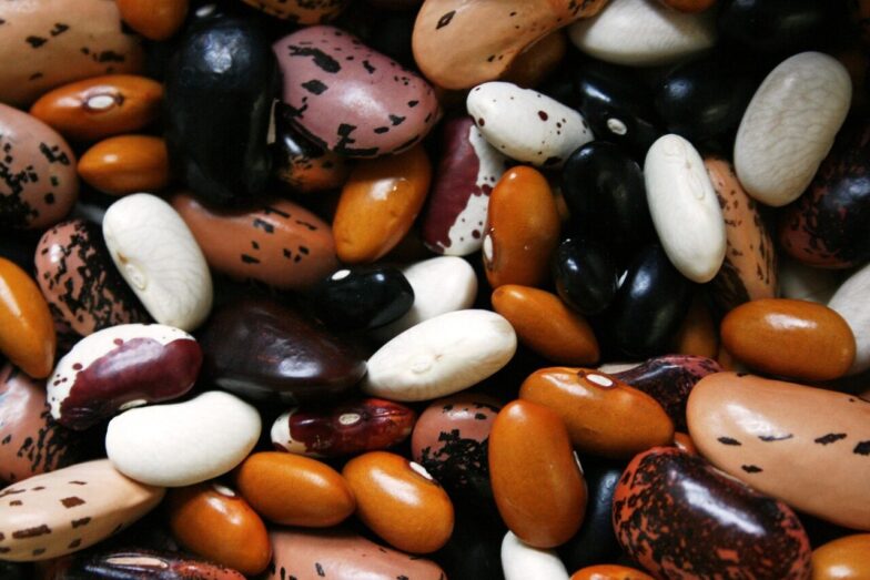 beans, legumes, food, protein, vegetable, legume, brown bean, uncooked, dried beans, beans, beans, beans, beans, beans, legumes, legumes, protein