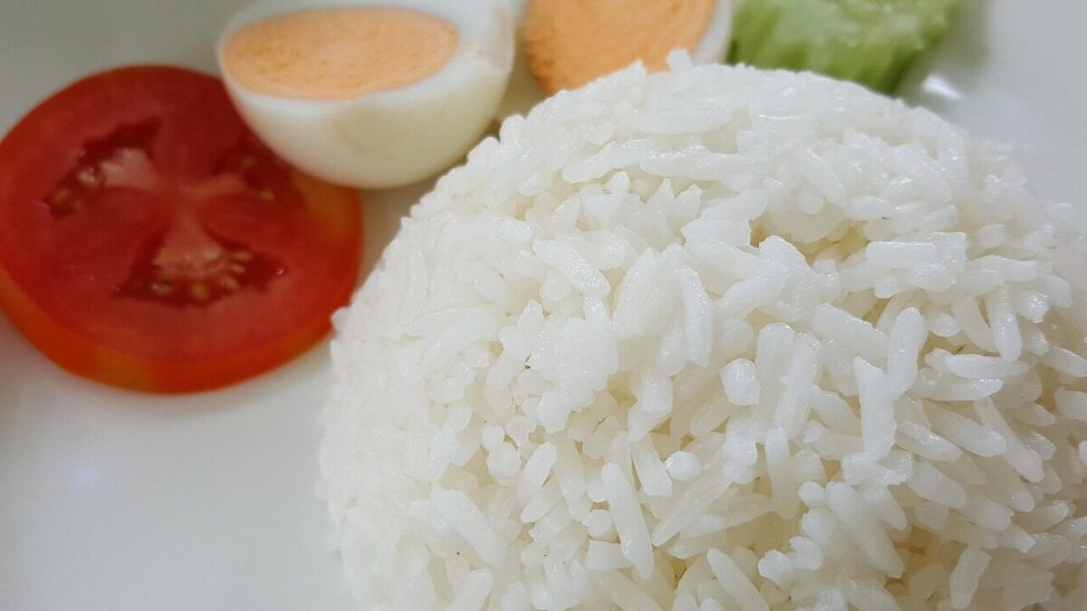 rice, dish, food, organic, eating, rice, rice, rice, rice, rice