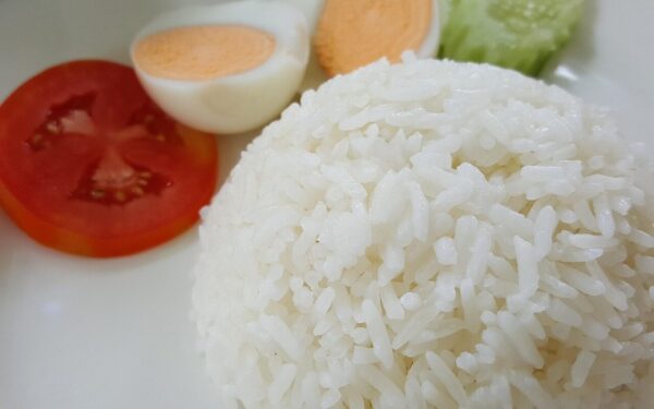 rice, dish, food, organic, eating, rice, rice, rice, rice, rice