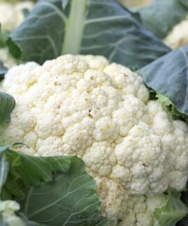 cauliflower, vegetables, food, vitamins, market fresh vegetables, vegan, cauliflower, cauliflower, cauliflower, cauliflower, cauliflower