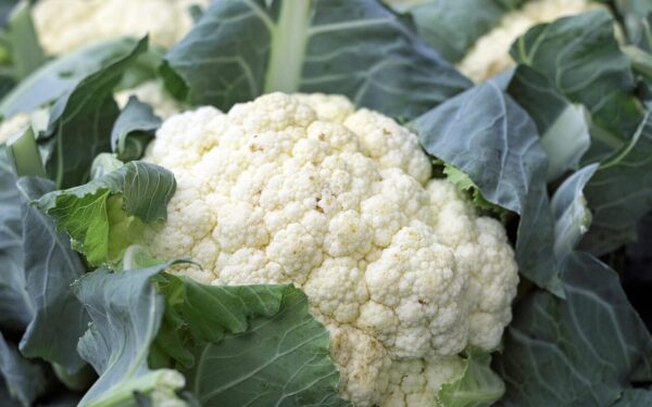 cauliflower, vegetables, food, vitamins, market fresh vegetables, vegan, cauliflower, cauliflower, cauliflower, cauliflower, cauliflower