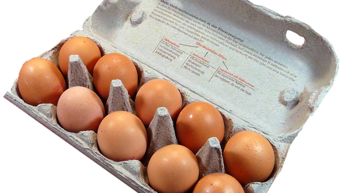 eggs, pack, food, egg box, egg carton, chicken eggs, brown eggs, pack of 10, eggs, eggs, egg carton, egg carton, egg carton, egg carton, egg carton, chicken eggs, brown eggs