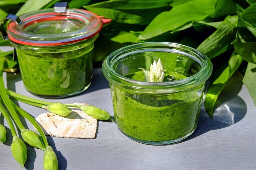 pesto, wild garlic, wild garlic pesto, herbs, homemade, wild vegetables, forest garlic, young leaves, odor, wild garlic leaves, harbinger of spring, culinary herbs, fresh, green, oil, meal, pesto, pesto, pesto, pesto, pesto, wild garlic, wild garlic