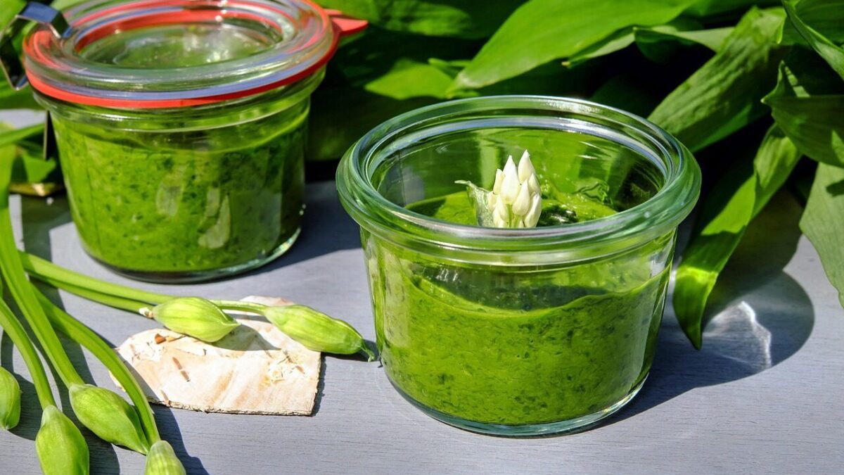 pesto, wild garlic, wild garlic pesto, herbs, homemade, wild vegetables, forest garlic, young leaves, odor, wild garlic leaves, harbinger of spring, culinary herbs, fresh, green, oil, meal, pesto, pesto, pesto, pesto, pesto, wild garlic, wild garlic