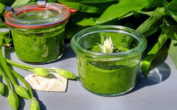 pesto, wild garlic, wild garlic pesto, herbs, homemade, wild vegetables, forest garlic, young leaves, odor, wild garlic leaves, harbinger of spring, culinary herbs, fresh, green, oil, meal, pesto, pesto, pesto, pesto, pesto, wild garlic, wild garlic