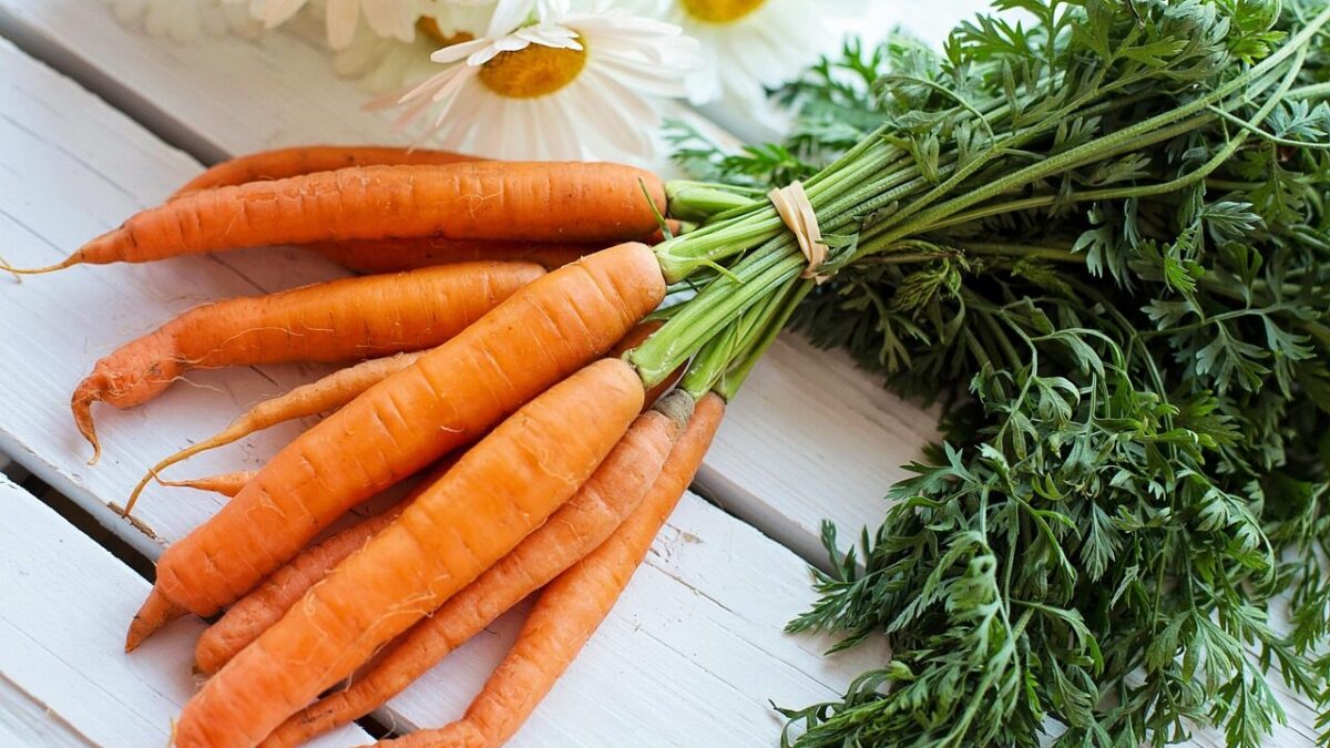 vegetable, carrots, food, healthy, fresh, diet, vegetarian, natural, organic, green, border, harvest, nutrition, produce, carrots, carrots, carrots, carrots, carrots, produce