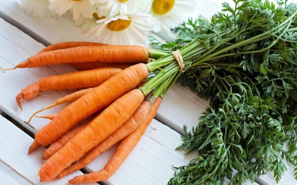 vegetable, carrots, food, healthy, fresh, diet, vegetarian, natural, organic, green, border, harvest, nutrition, produce, carrots, carrots, carrots, carrots, carrots, produce