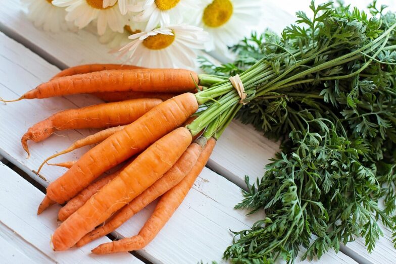 vegetable, carrots, food, healthy, fresh, diet, vegetarian, natural, organic, green, border, harvest, nutrition, produce, carrots, carrots, carrots, carrots, carrots, produce