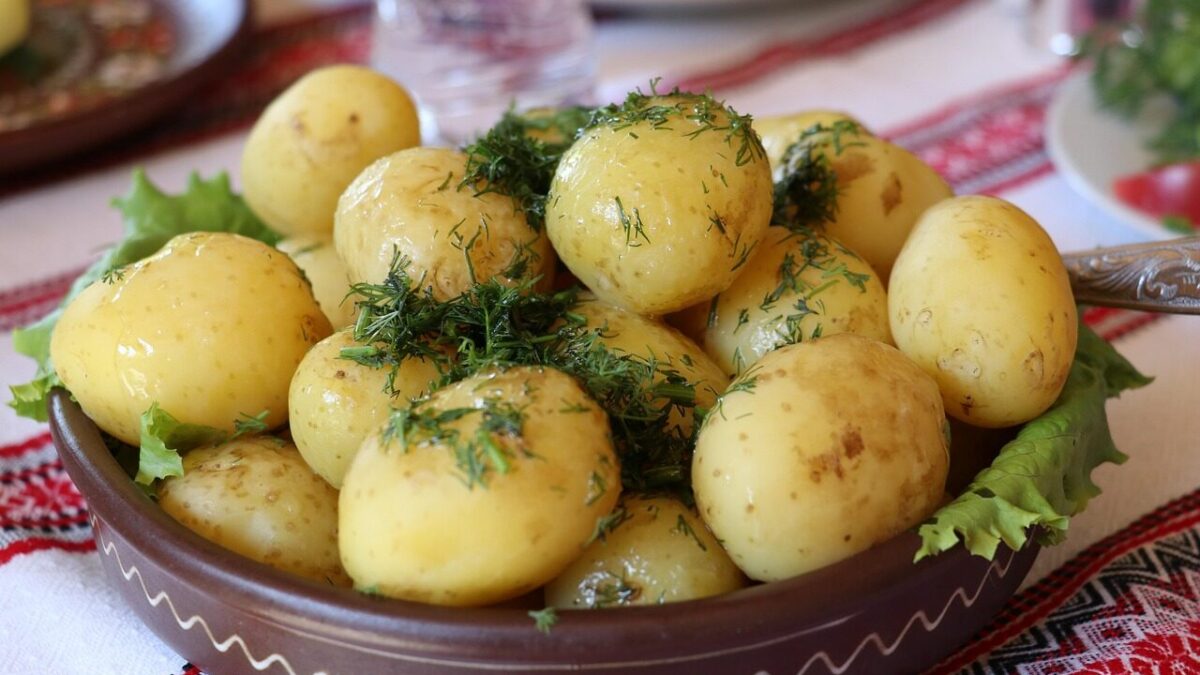 ukrainian dill potatoes, potatoes, vegetable, dill, food, dish, cuisine, meal, lunch, dinner, healthy, traditional, culture, russian, ukrainian, potatoes, potatoes, potatoes, potatoes, potatoes, dinner