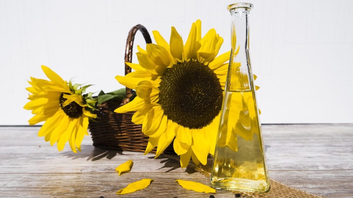 oil, sunflower oil, beautiful flowers, edible oil, food, flower wallpaper, nourishment, cook, sunflower, bottle, flower, plant, flora, yellow, summer, flower background, blossom, bloom, nature, bloom, sunflower seeds, kernels, seeds