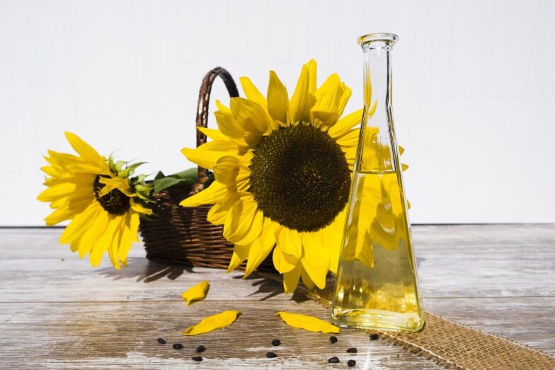 oil, sunflower oil, beautiful flowers, edible oil, food, flower wallpaper, nourishment, cook, sunflower, bottle, flower, plant, flora, yellow, summer, flower background, blossom, bloom, nature, bloom, sunflower seeds, kernels, seeds