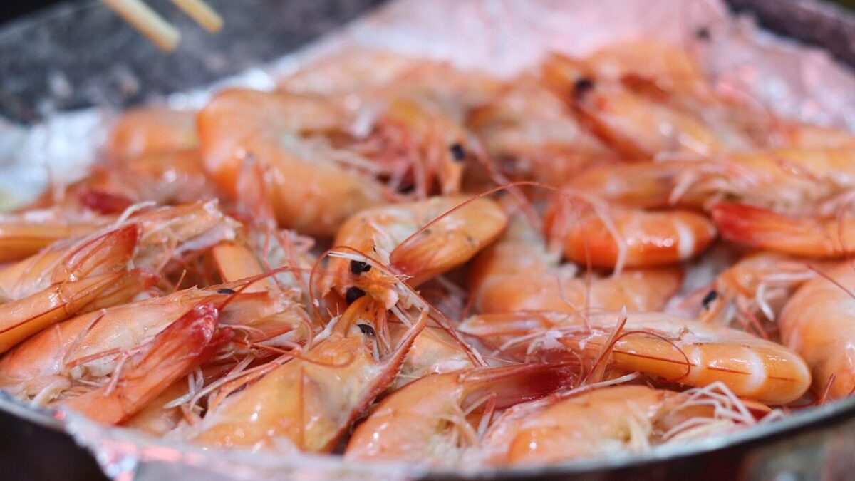 shrimp, jumbo shrimp, food, shrimp, jumbo shrimp, jumbo shrimp, jumbo shrimp, jumbo shrimp, jumbo shrimp