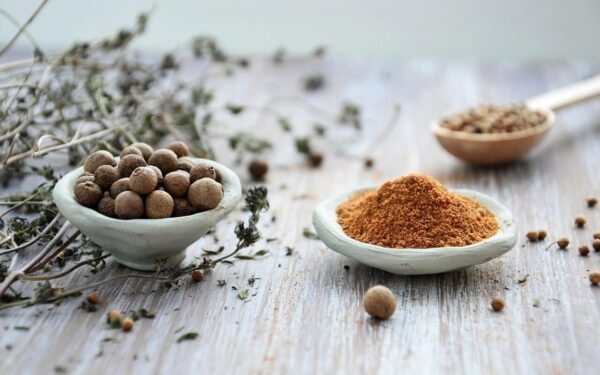 spices, ingredients, scent, cooking, seeds, pepper, nutmeg, condiments, clay cups, close-up, focus, cooking, nutmeg, nutmeg, nutmeg, nutmeg, nutmeg