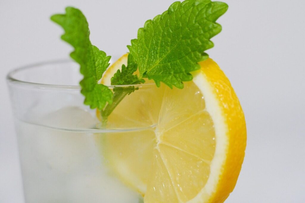 lemon, water, fruit, refreshing, yellow, vitamins, lemon wedge, ice cubes, nature, vitamin c, citrus fruit, water glass, lemon balm