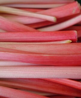 rhubarb, stalk, red, vegetables, vegetable rhubarb, curly rhubarb, rheum rhabarbarum, knotweed, polygonaceae, unpeeled petioles, unpeeled, petioles, rhubarb, rhubarb, rhubarb, rhubarb, rhubarb