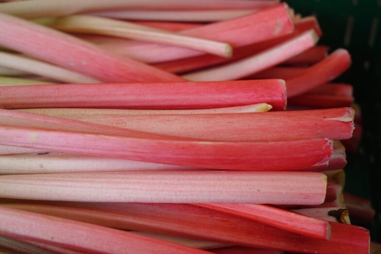rhubarb, stalk, red, vegetables, vegetable rhubarb, curly rhubarb, rheum rhabarbarum, knotweed, polygonaceae, unpeeled petioles, unpeeled, petioles, rhubarb, rhubarb, rhubarb, rhubarb, rhubarb