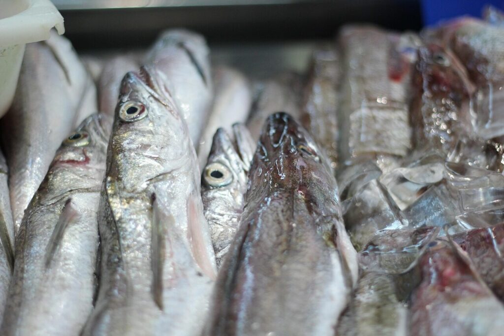 seafood, nature, fish, market, frozen, gray fish, gray fishing, gray market