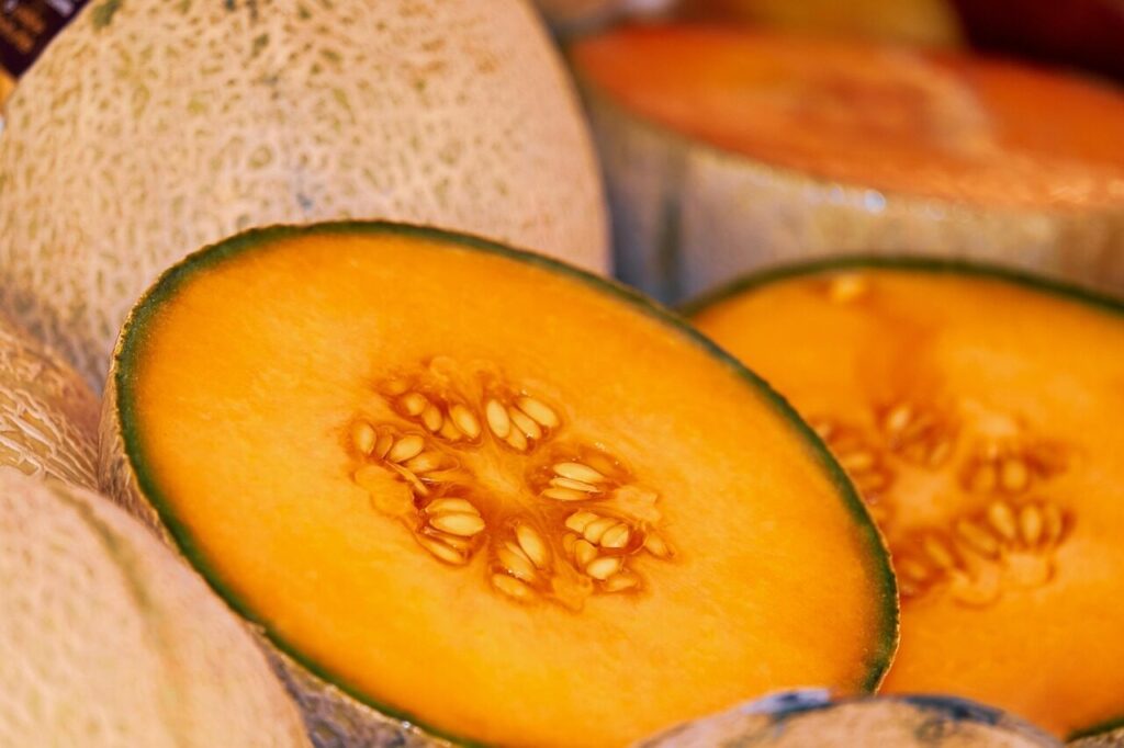 melon, sliced, ripe, juicy, fruit, melon, melon, melon, melon, melon