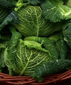 savoy cabbage, vegetables, leafy greens, close up, brassica oleracea, winter vegetables, vegetables, leafy greens, leafy greens, leafy greens, leafy greens, leafy greens