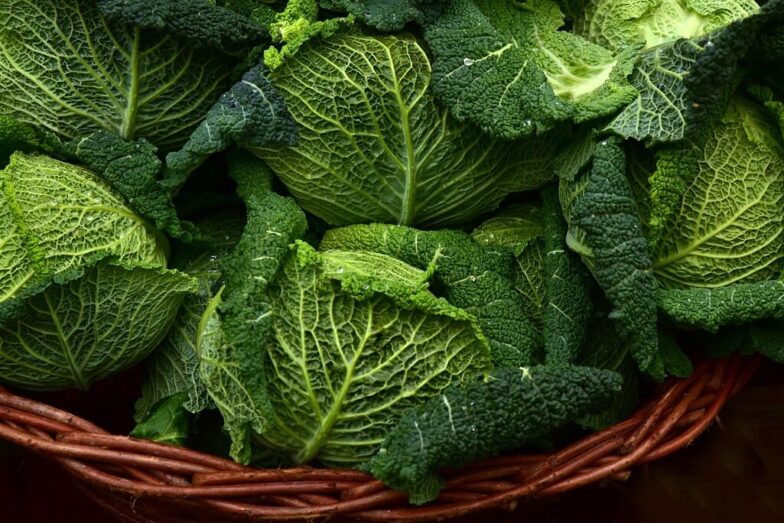 savoy cabbage, vegetables, leafy greens, close up, brassica oleracea, winter vegetables, vegetables, leafy greens, leafy greens, leafy greens, leafy greens, leafy greens
