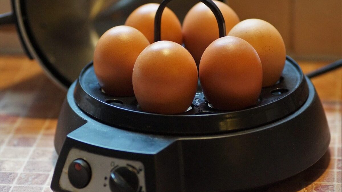egg, eggs, cooked, on, hard-boiled, cooker, brewed, slot machine, eierkocher, retro