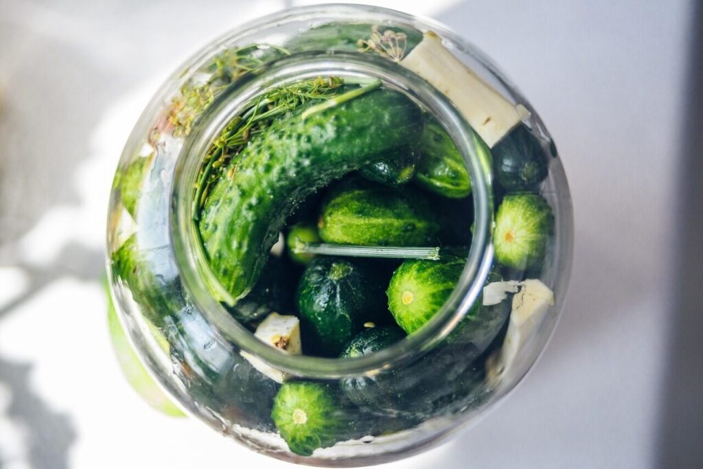 pickled cucumbers, silage, cucumber, cucumber green, cucumbers in a jar, organic cucumbers, cucumbers with horseradish, dill, jar, snack, vegetables, cucumbers, vitamins, closeup, food, fresh, bokeh, healthy, organic, diet