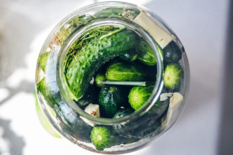 pickled cucumbers, silage, cucumber, cucumber green, cucumbers in a jar, organic cucumbers, cucumbers with horseradish, dill, jar, snack, vegetables, cucumbers, vitamins, closeup, food, fresh, bokeh, healthy, organic, diet