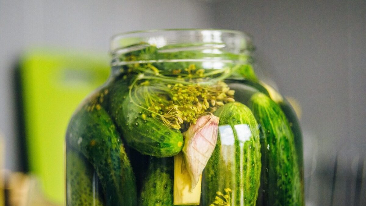 pickled cucumbers, silage, cucumber, cucumber green, cucumbers in a jar, organic cucumbers, cucumbers with horseradish, dill, jar, snack, vegetables, cucumbers, vitamins, closeup, food, fresh, bokeh, healthy, organic, diet, pickled cucumbers, pickled cucumbers, pickled cucumbers, pickled cucumbers, pickled cucumbers, silage, silage, cucumber, dill, dill, dill
