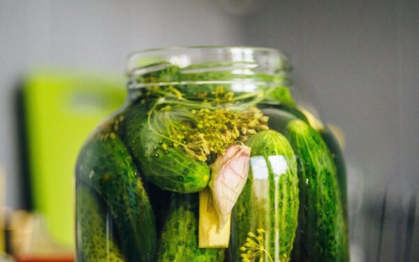 pickled cucumbers, silage, cucumber, cucumber green, cucumbers in a jar, organic cucumbers, cucumbers with horseradish, dill, jar, snack, vegetables, cucumbers, vitamins, closeup, food, fresh, bokeh, healthy, organic, diet, pickled cucumbers, pickled cucumbers, pickled cucumbers, pickled cucumbers, pickled cucumbers, silage, silage, cucumber, dill, dill, dill