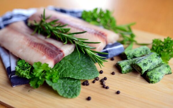 fish, salmon, wild salmon, fillet, fish fillet, nature, salmon fillet, raw, ingredients, herbs, food, fresh, fresh ingredients, food preparation