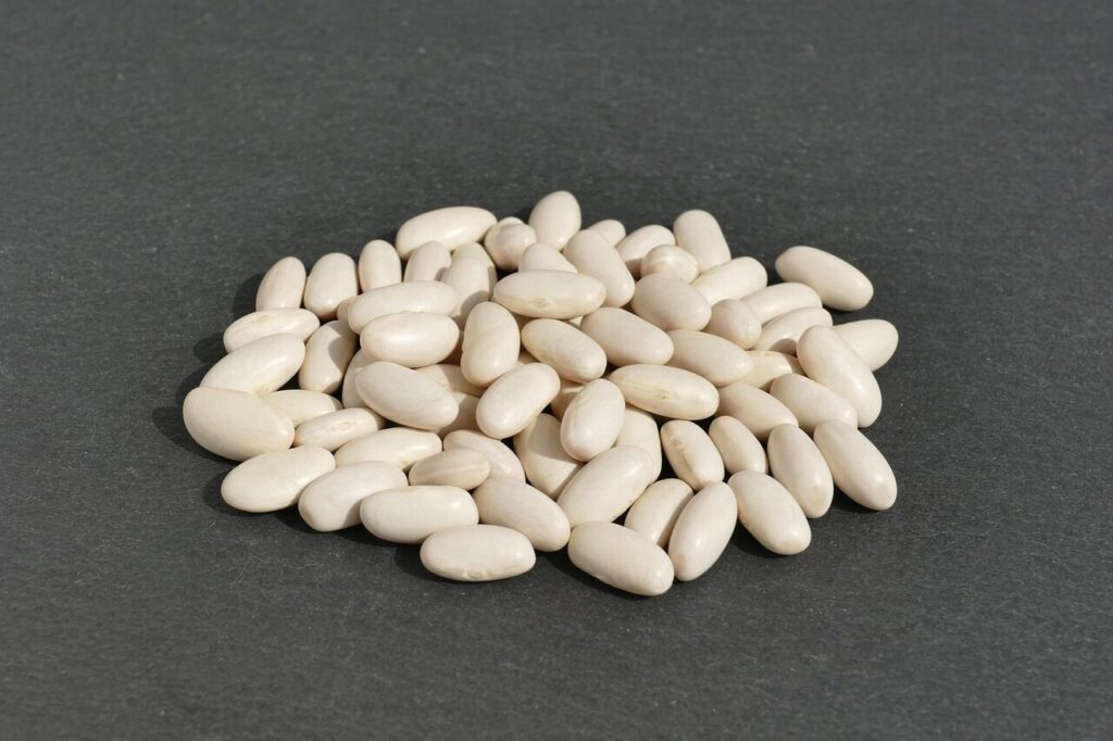 white beans, cannellini beans, bean seeds, legume, harvest, meal, nourishment, vegan, vegetarian, diet, dried, food, white beans, white beans, white beans, white beans, white beans, cannellini beans, cannellini beans, cannellini beans