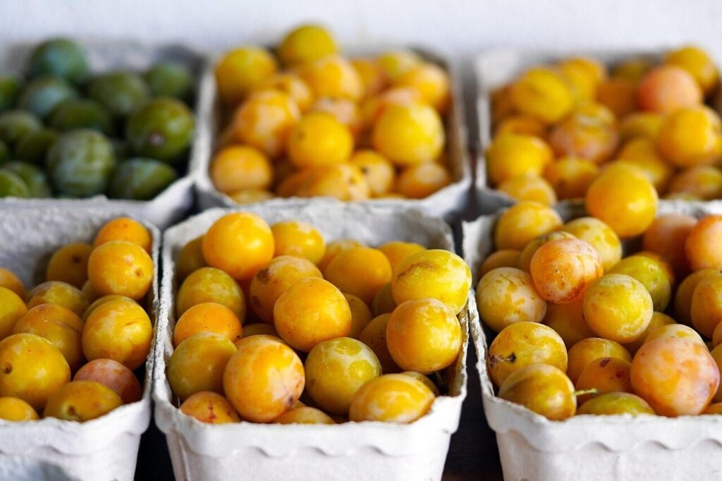 fruit, mirabelle plum, market, harvest, healthy, cherry plum