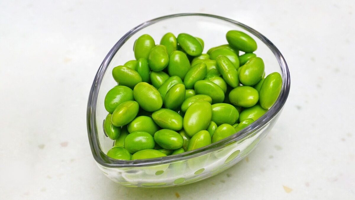 soybean, edamame, ingredient, healthy, organic, food, bean, edamame, edamame, edamame, edamame, edamame