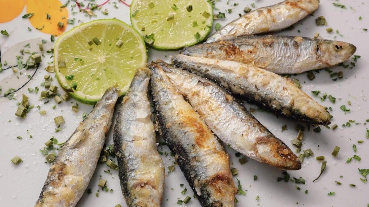 fish, sprats, nature, sardines