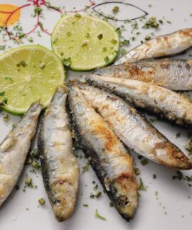 fish, sprats, nature, sardines