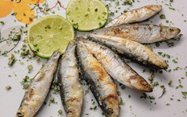 fish, sprats, nature, sardines
