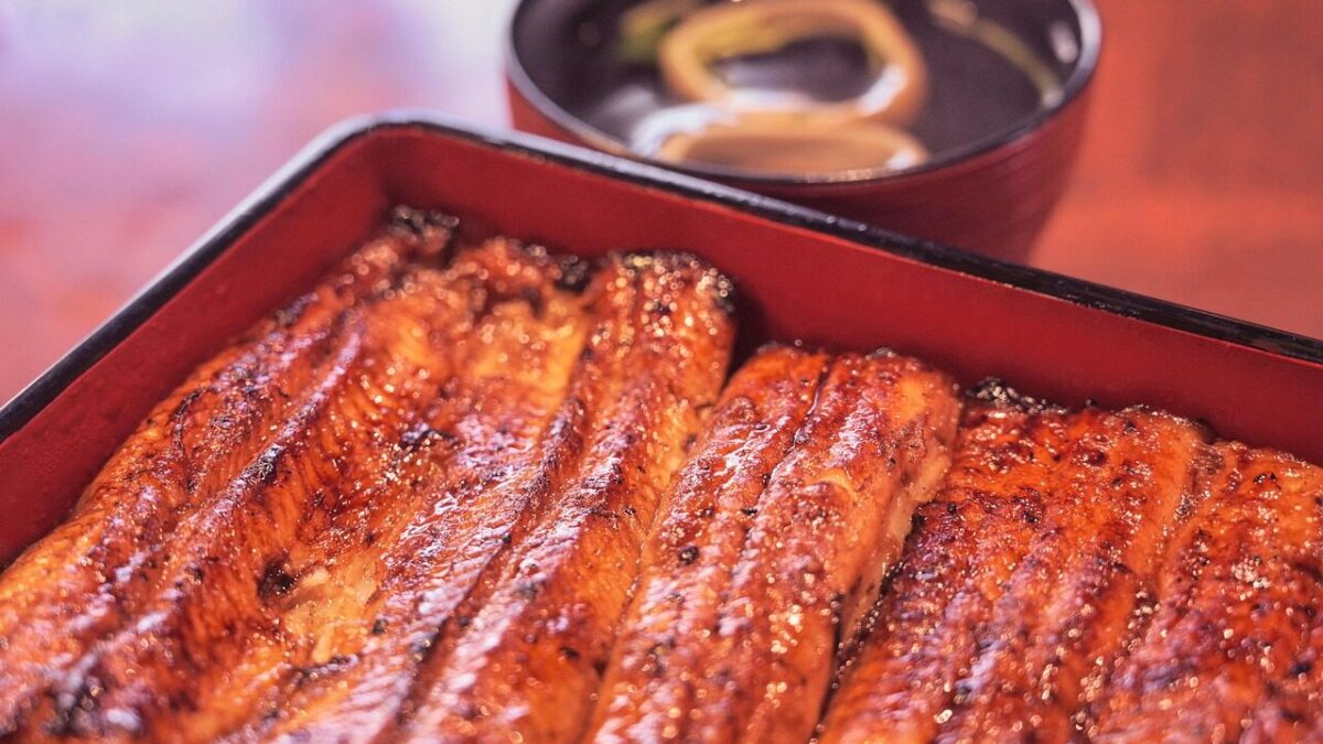 eel, unagi eel, kabayaki, japanese cuisine, japan, dish, eel, eel, eel, eel, eel, kabayaki