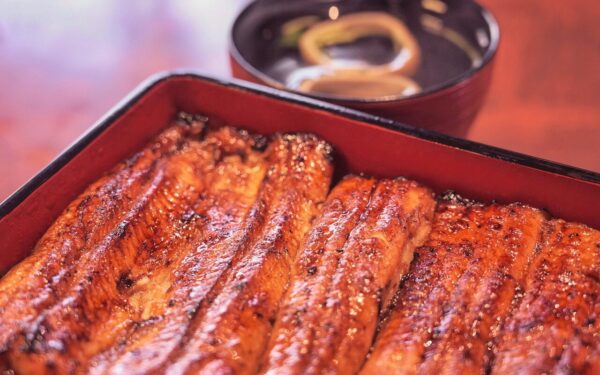 eel, unagi eel, kabayaki, japanese cuisine, japan, dish, eel, eel, eel, eel, eel, kabayaki