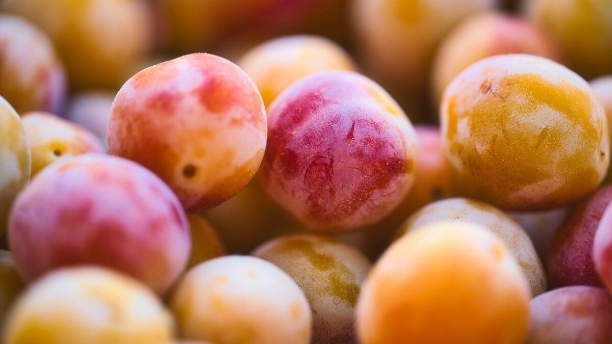 mirabelle plum, fruit, organic, pink, yellow, tart, sweet, costs, harvest, nature, fruit, fruit, fruit, fruit, fruit, pink, pink, yellow, nature, nature, nature