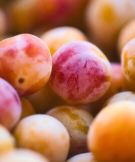 mirabelle plum, fruit, organic, pink, yellow, tart, sweet, costs, harvest, nature, fruit, fruit, fruit, fruit, fruit, pink, pink, yellow, nature, nature, nature