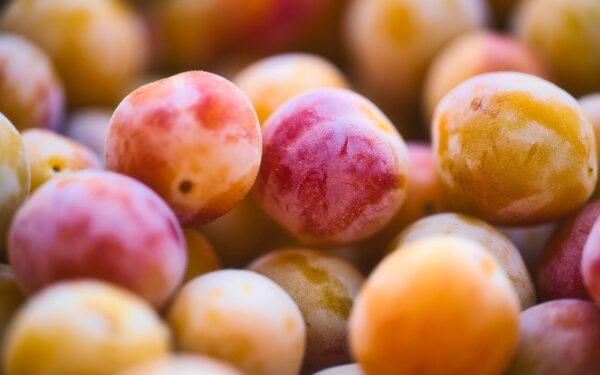 mirabelle plum, fruit, organic, pink, yellow, tart, sweet, costs, harvest, nature, fruit, fruit, fruit, fruit, fruit, pink, pink, yellow, nature, nature, nature