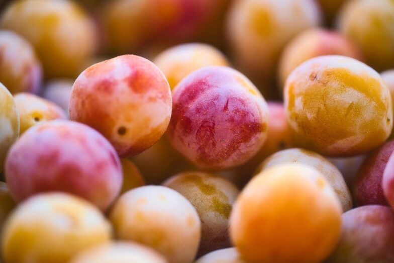 mirabelle plum, fruit, organic, pink, yellow, tart, sweet, costs, harvest, nature, fruit, fruit, fruit, fruit, fruit, pink, pink, yellow, nature, nature, nature