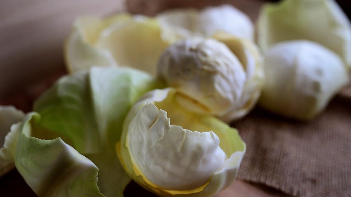 white cabbage, cabbage, vegetables, cabbage leaves