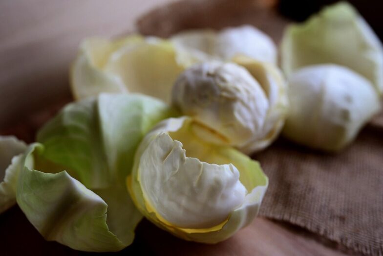 white cabbage, cabbage, vegetables, cabbage leaves