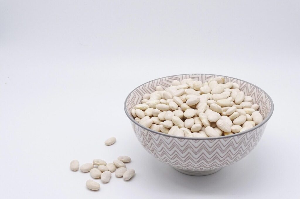 bean, white beans, legumes, food, protein, vegetarian