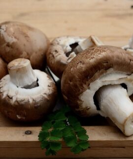 mushrooms, edible mushrooms, vegetarian, ingredient, edible