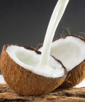 coconut, milk, coconut milk, food, drink, cup, ai generated, coconut, coconut, coconut, coconut, coconut, milk, coconut milk, coconut milk, coconut milk, coconut milk, coconut milk
